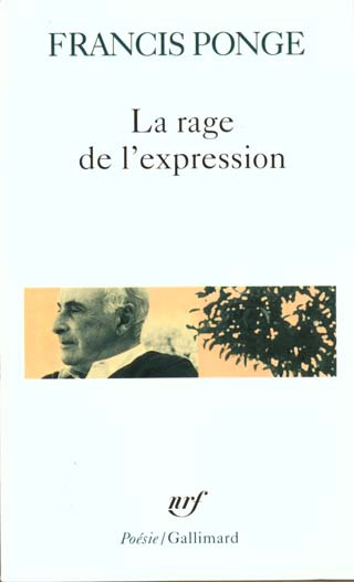 La rage de l'expression