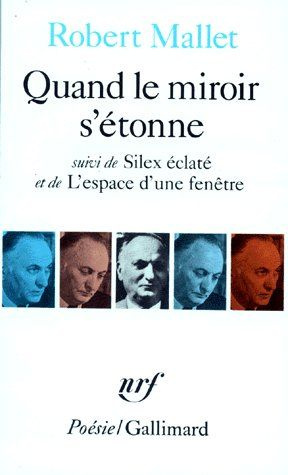 Quand le miroir s'étonne. (suivi de) Silex éclaté. L'Espace d'une fenêtre