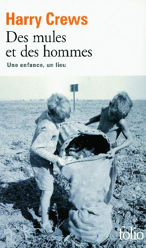 Des mules et des hommes. Une enfance, un lieu