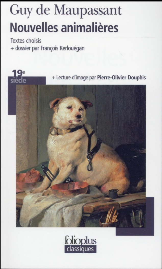 Nouvelles animalières