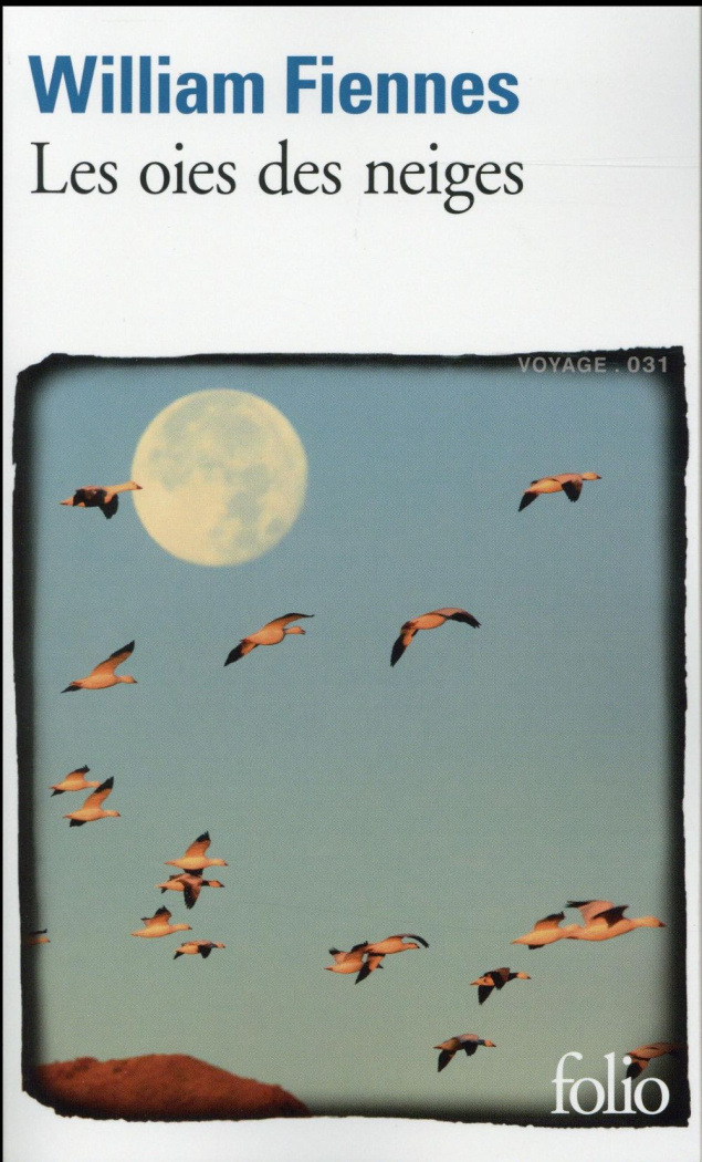 Les oies des neiges