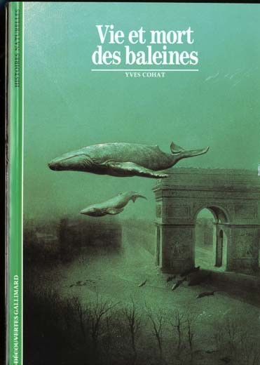 VIE ET MORT DES BALEINES