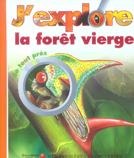 J'explore la forêt vierge de tout près