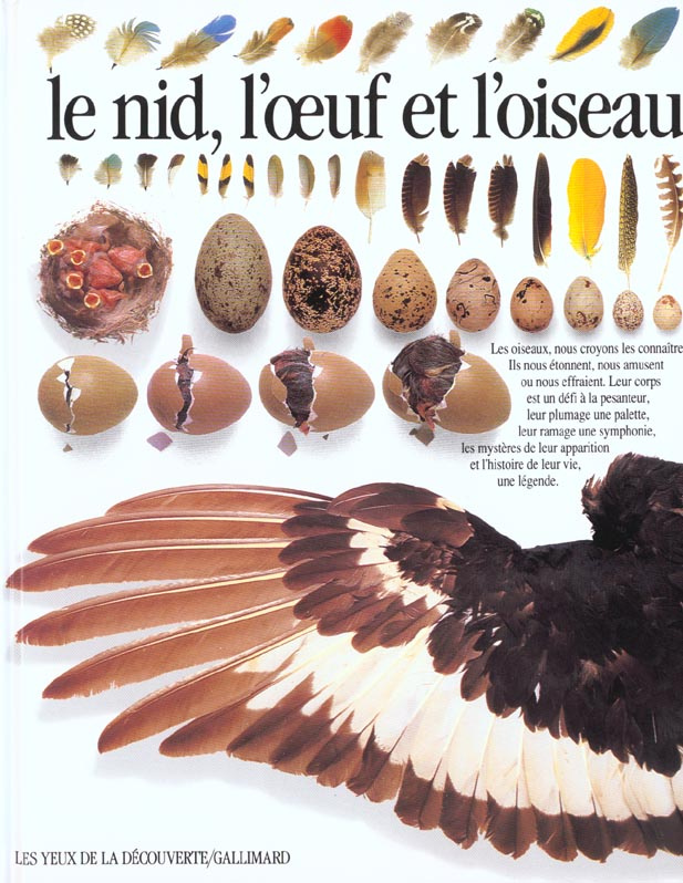 Le Nid, l'oeuf et l'oiseau