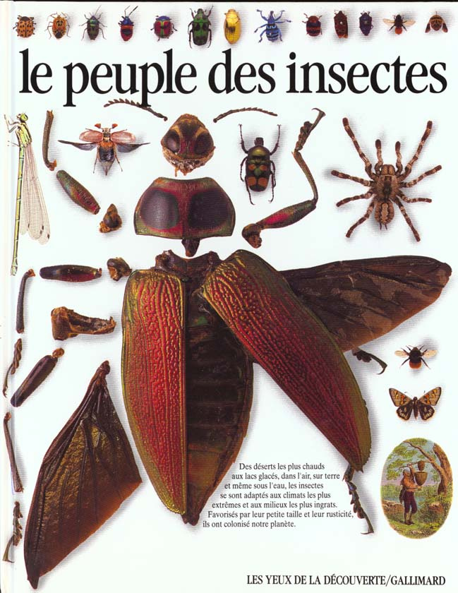 Le Peuple des insectes