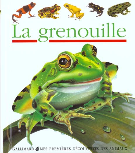 La grenouille