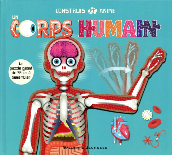 Construis et anime un corps humain