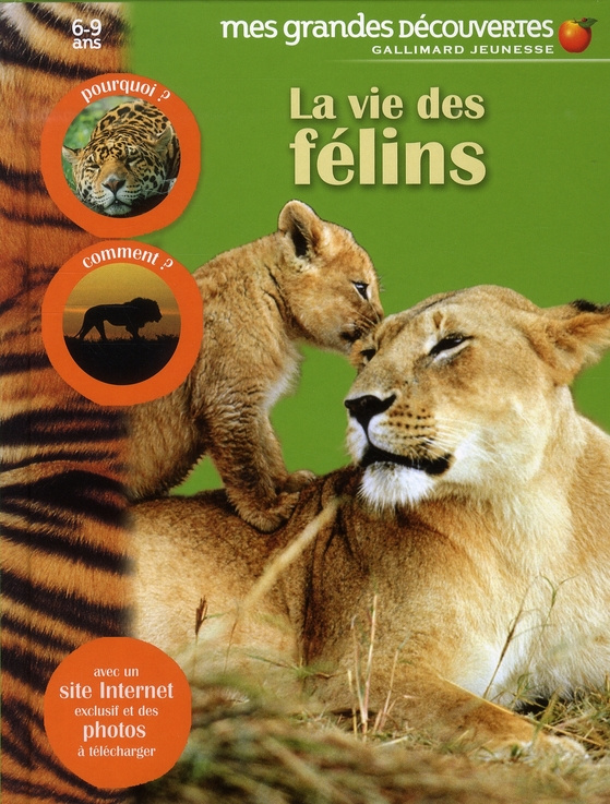 La vie des félins