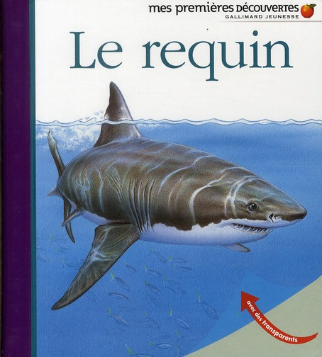 Le requin