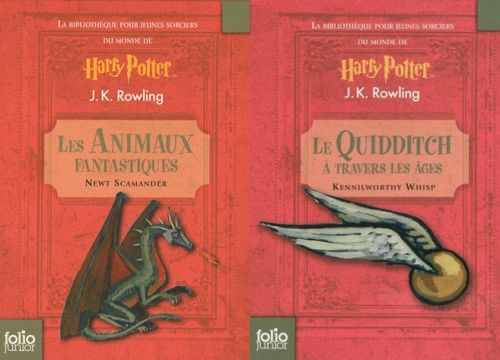 La bibliothèque pour jeunes sorciers du monde de Harry Potter. 2 volumes Le Quidditch à travers les