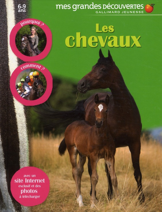 Les chevaux