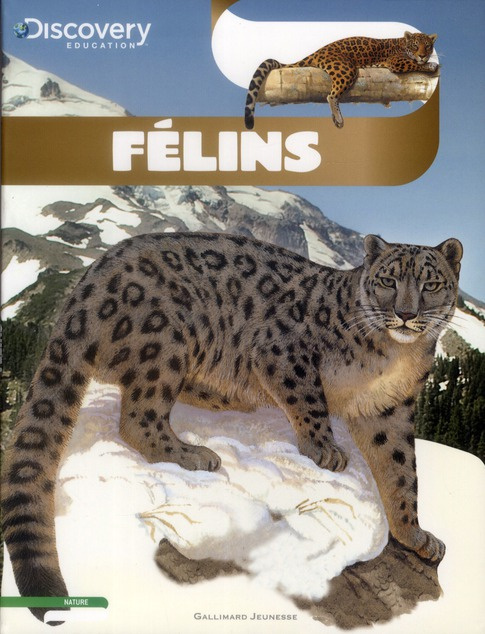 Félins