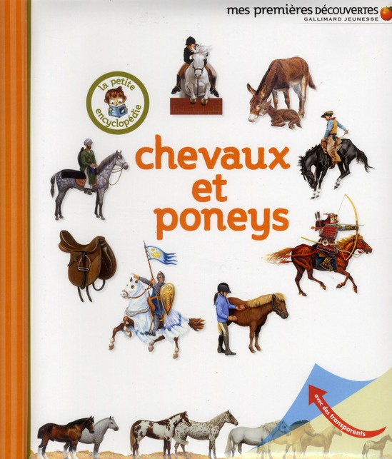 Chevaux et poneys