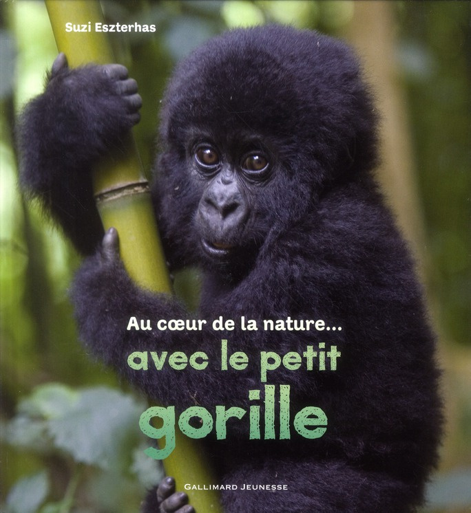 Au coeur de la nature avec le petit gorille