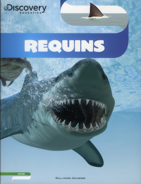 Requins