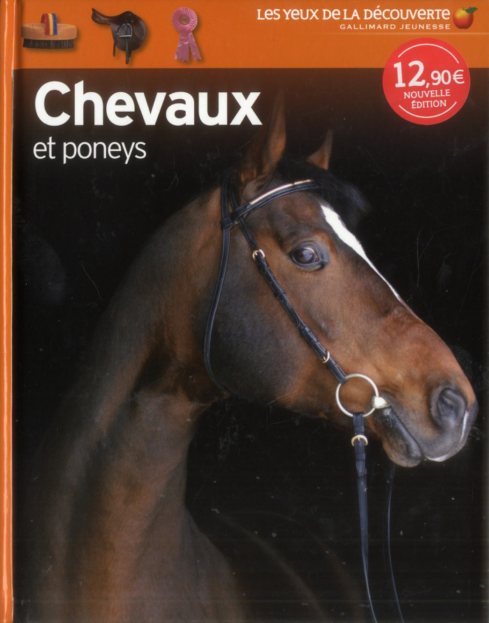 Chevaux et poneys