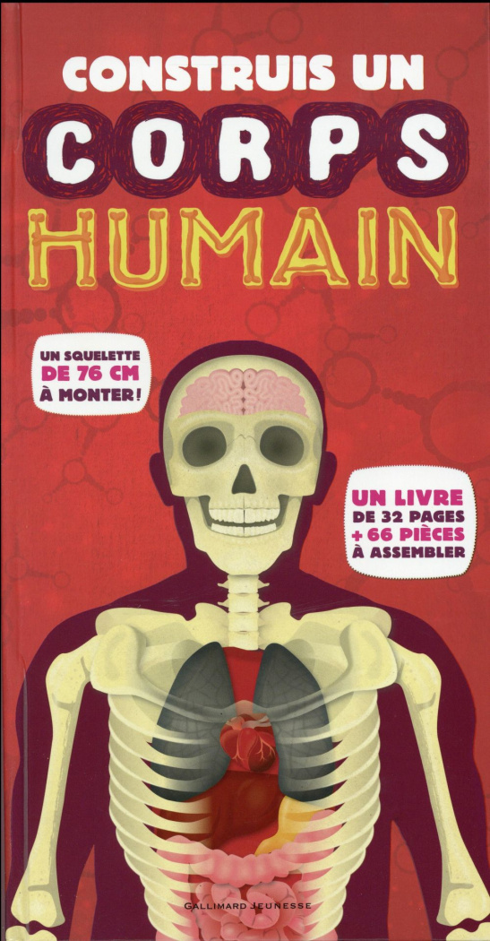 Construis un corps humain