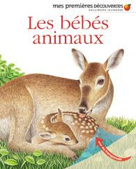 Les bébés animaux