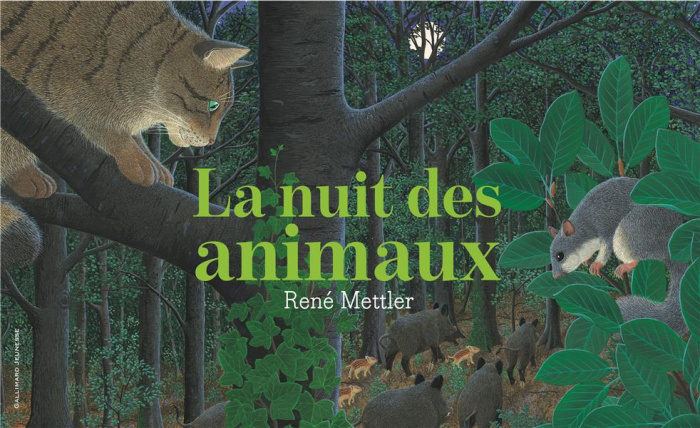 La nuit des animaux