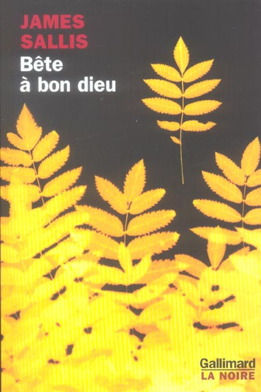 Bête à bon dieu