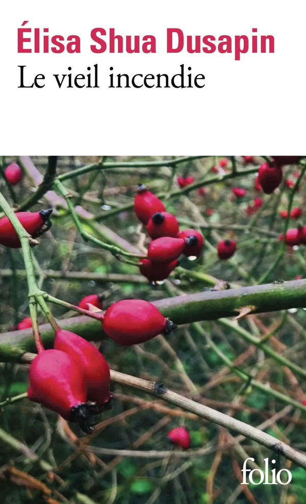Le vieil incendie