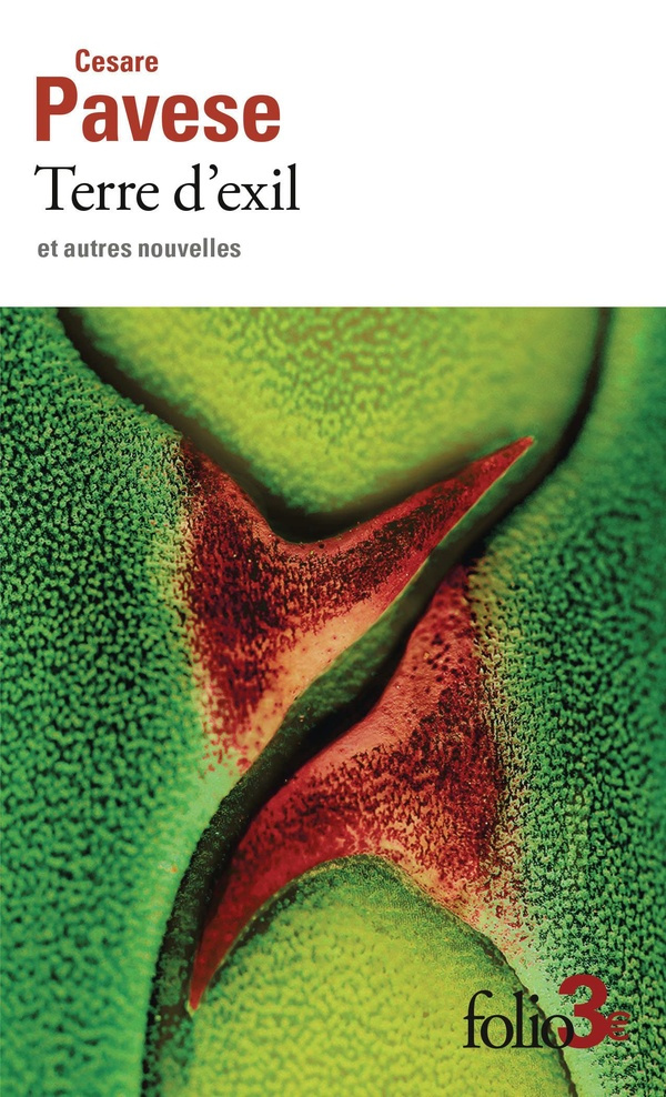 Terre d'exil. Et autres nouvelles