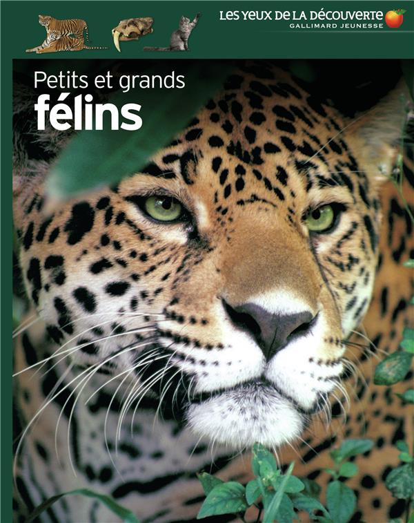Petits et grands félins