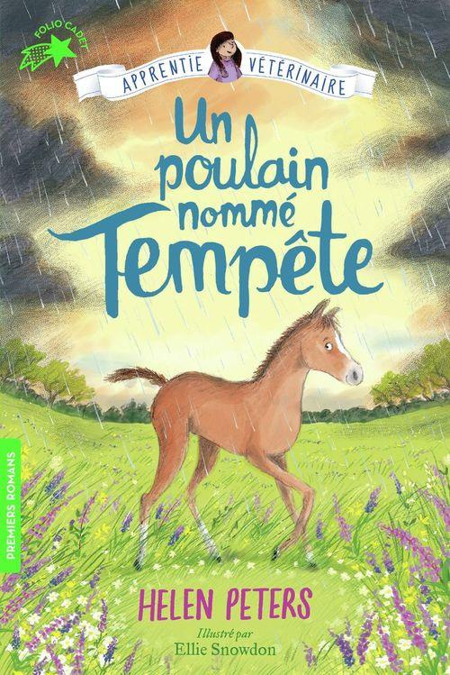 Apprentie vétérinaire Tome 9 : Un poulain nommé Tempête