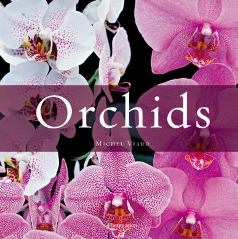 Orchids. Edition en anglais