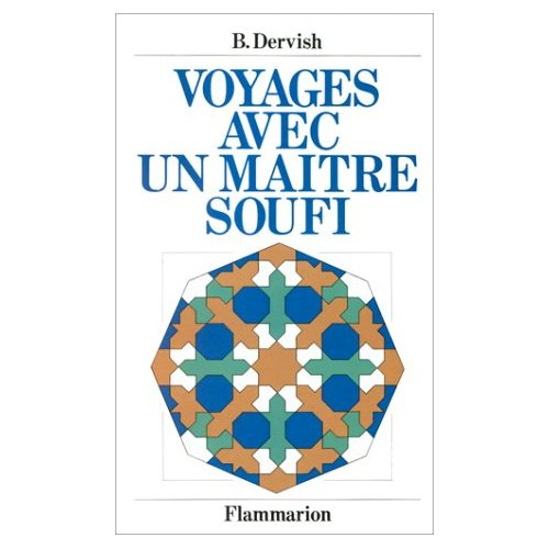 Voyages avec un maître soufi