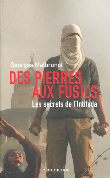 Des pierres aux fusils. Les secrets de l'Intifada