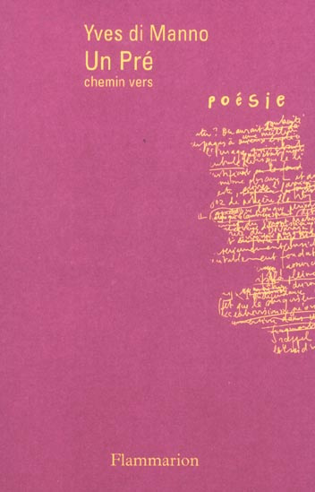 Un pré. Chemin vers