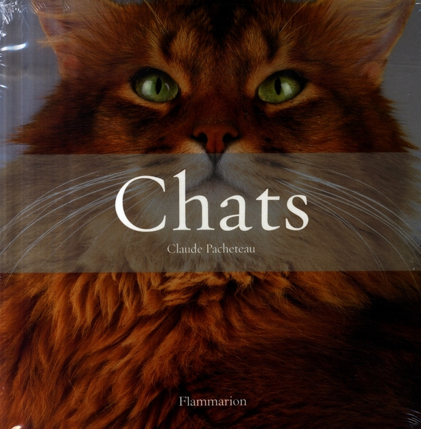 Chats Coffret en 2 volumes : Histoires de chats ; Les plus beaux chats