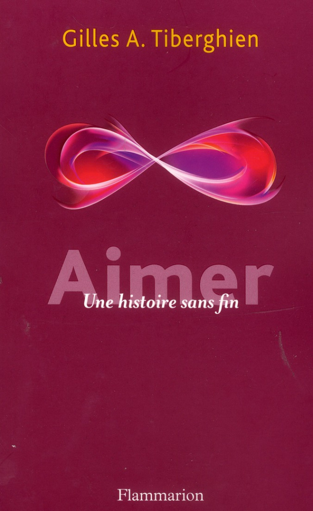 Aimer. Une histoire sans fin