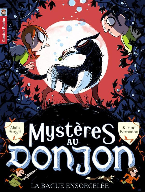 Mystères au donjon Tome 6 : La bague ensorcelée