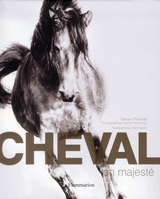 Cheval en majesté