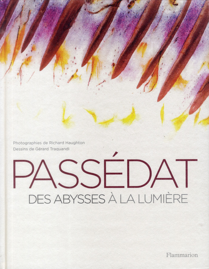Passedat. Des abysses à la lumière