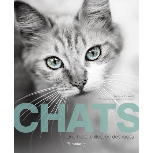 Chats. Une histoire illustrée des races
