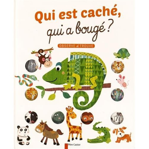Qui est caché, qui a bougé ?