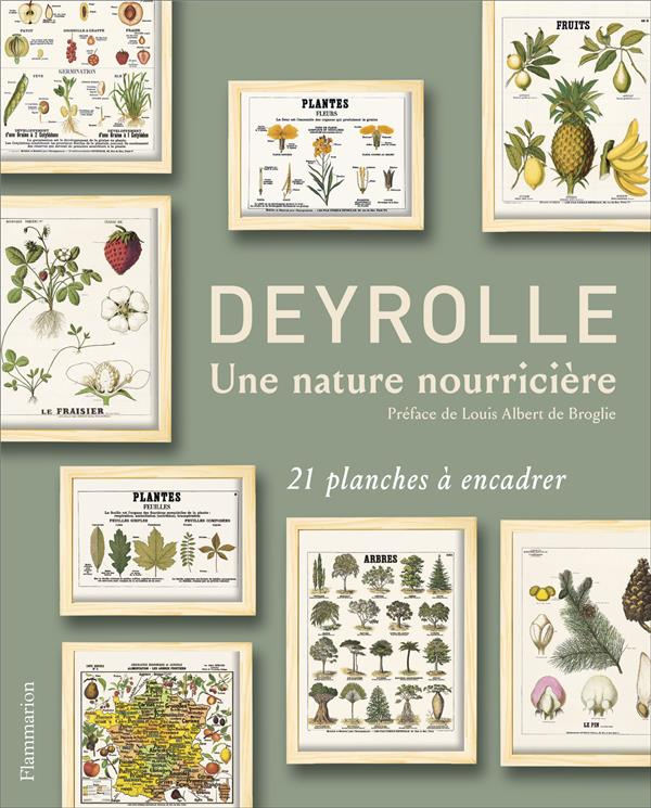 Deyrolle, une nature nourricière. 21 planches à encadrer