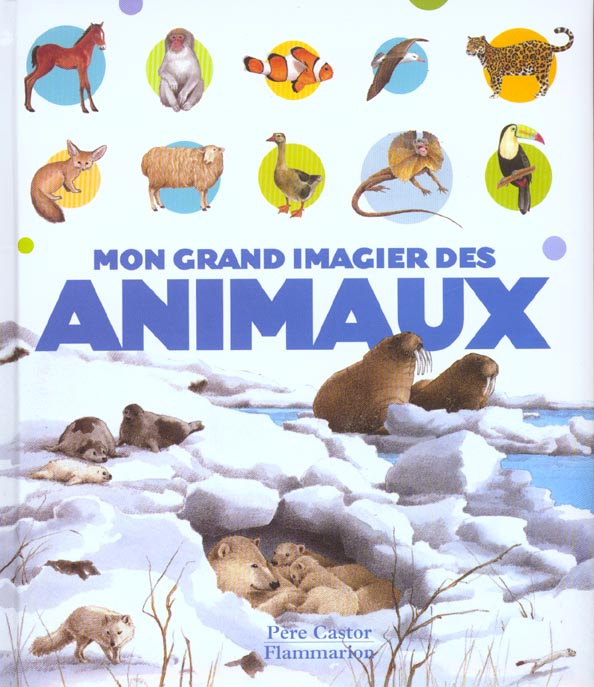 Mon grand imagier des animaux