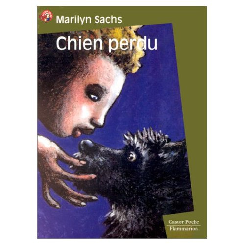 CHIEN PERDU