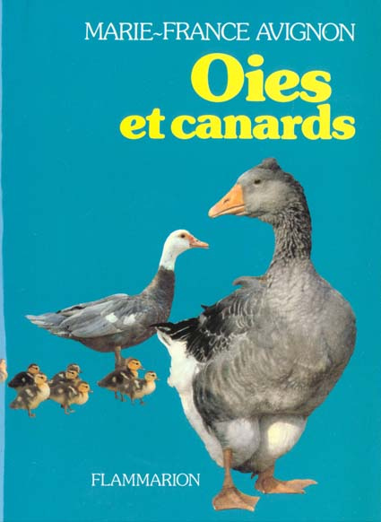 Oies et canards