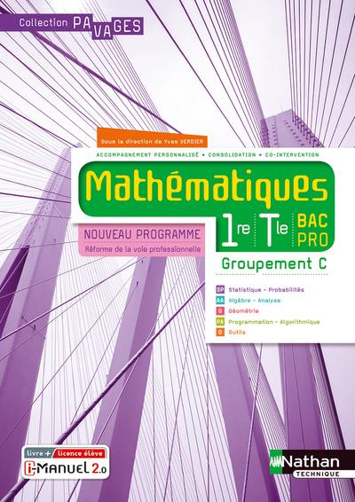 Mathématiques 1re Tle Bac Pro Groupement C Pavages. Edition 2020
