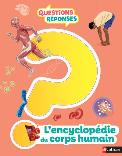L'encyclopédie du corps humain