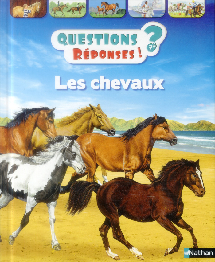 Les chevaux