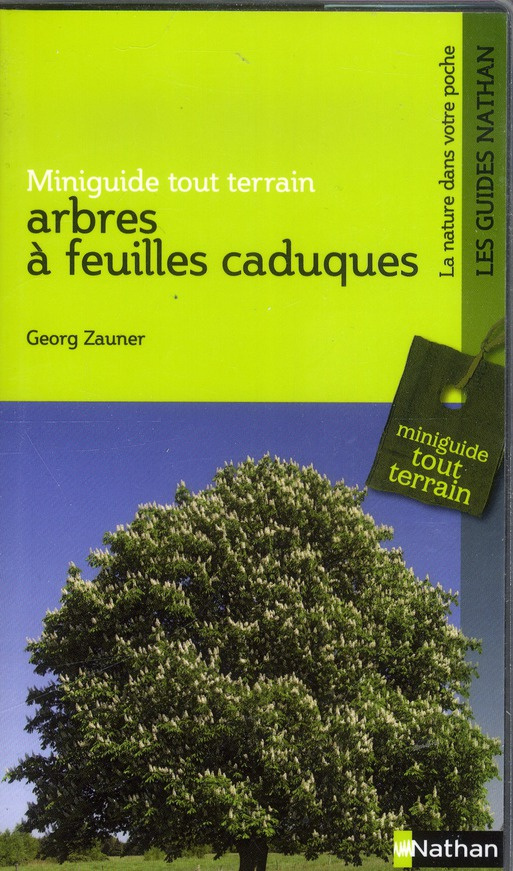 Arbres à feuilles caduques