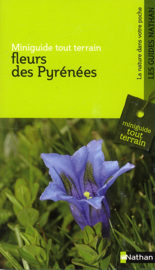 Fleurs des Pyrénées