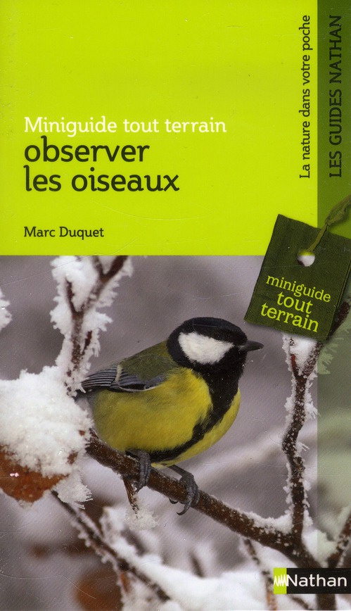 Observer les oiseaux