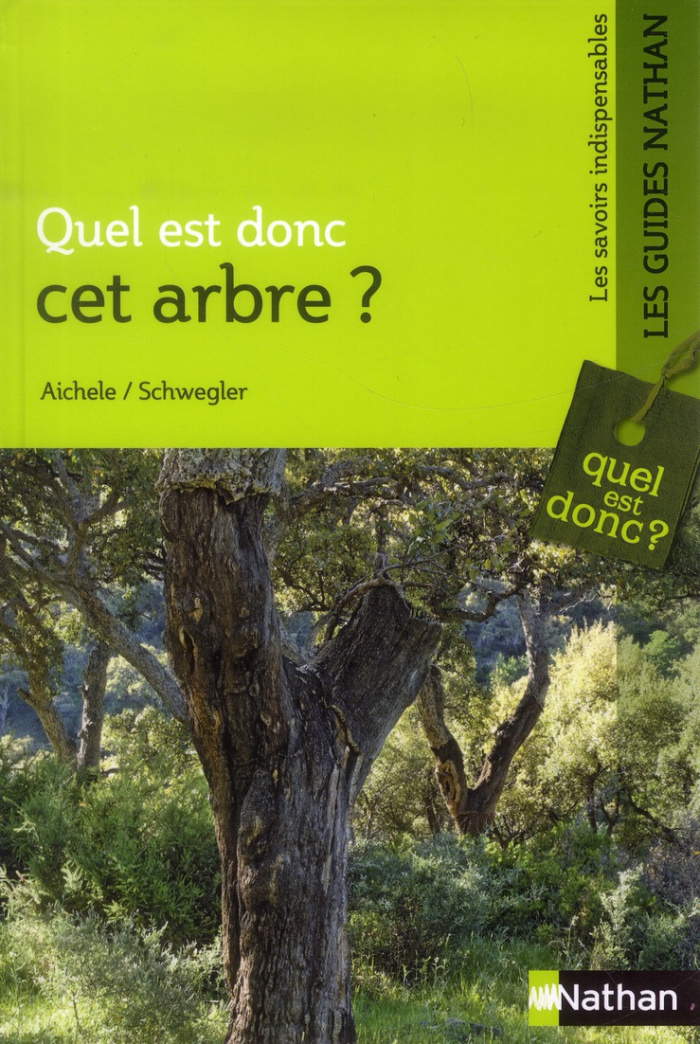 Quel est donc cet arbre ?